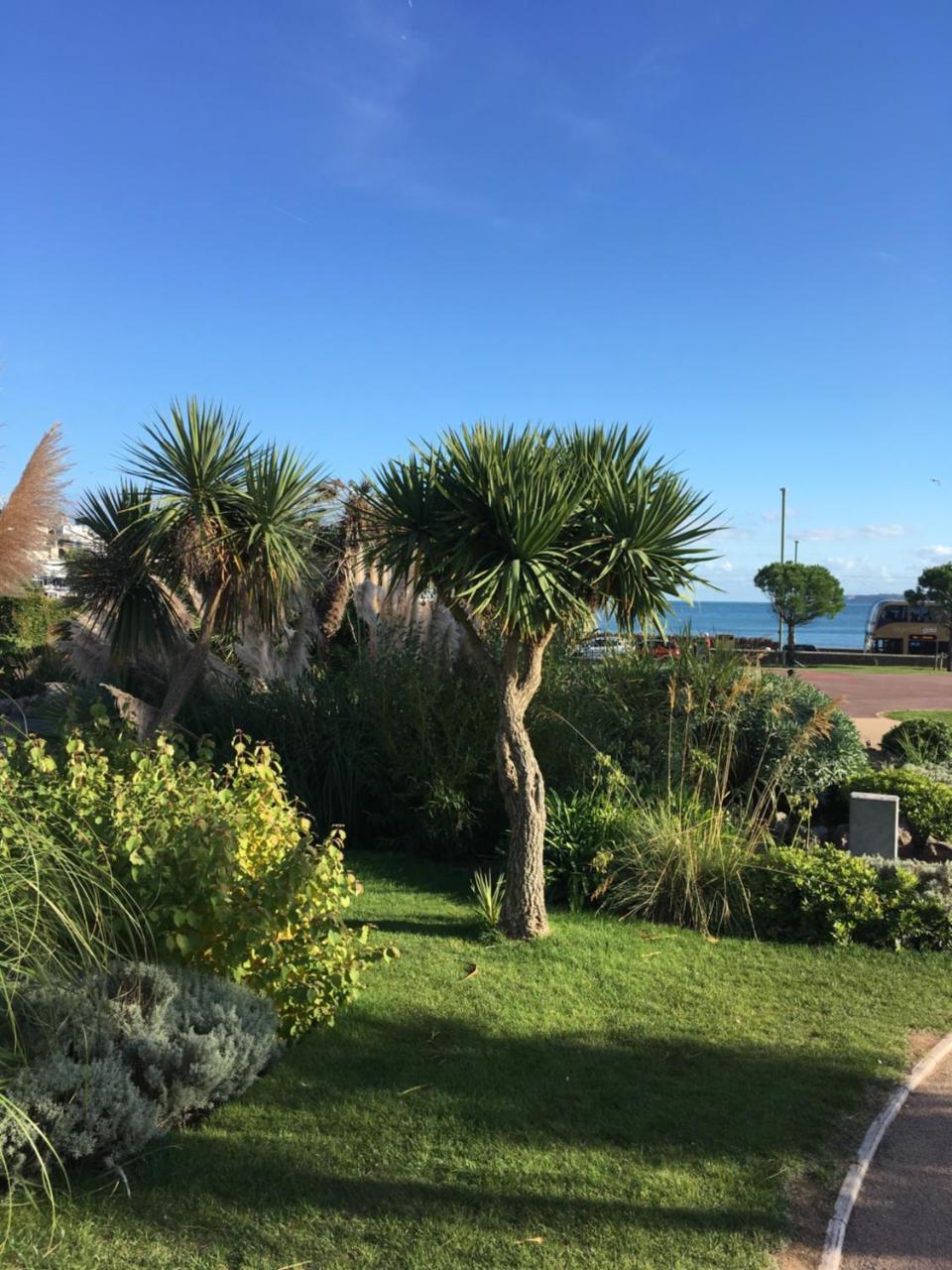 Newburgh Guesthouse Torquay Extérieur photo